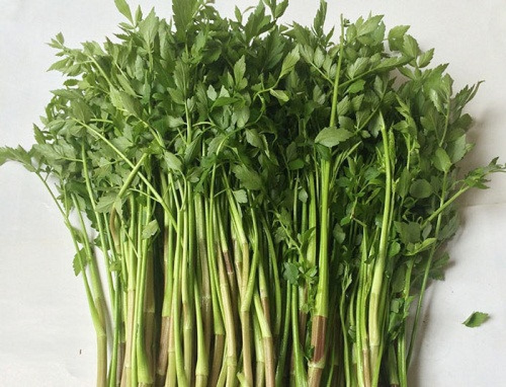 Bún xảo rau cần: Ăn kiểu này cuối tuần có thể thay cơm, nhẹ bụng, dễ tiêu -  NgonViet24h