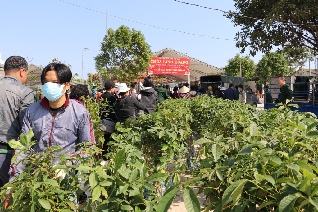 Hiệp Hòa: Được tặng trên 6500 cây&nbsp;xanh