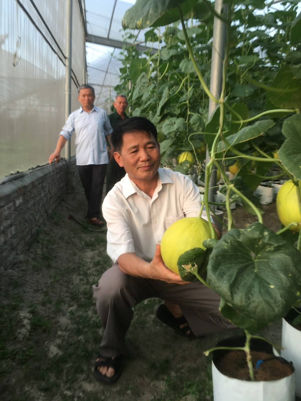 Tấm gương cựu chiến binh vượt khó làm kinh tế&nbsp;giỏi