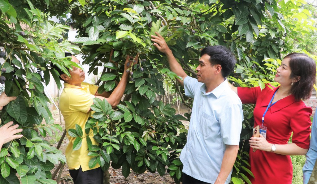 Phó Chủ tịch Thường trực UBND huyện Nguyễn Xuân Thảo kiểm tra thực tế các cơ sở tham gia đánh giá, nâng hạng sản phẩm OCOP năm&nbsp;2024