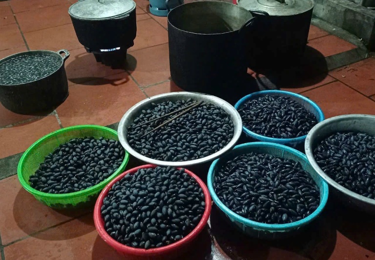 Xây dựng thương hiệu “Trám đen Hoàng&nbsp;Vân”