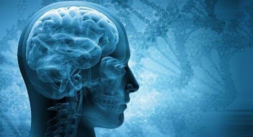 Giáo dục trẻ em: Tránh thói quen tàn phá não của&nbsp;trẻ