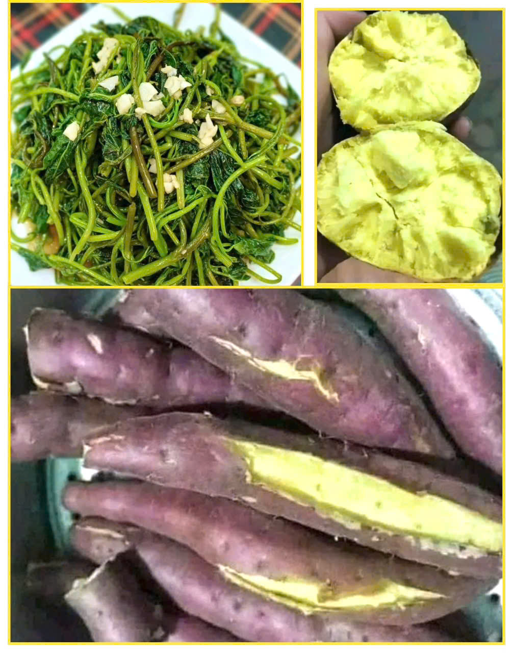 Nhớ về một loại cây “cứu đói” ngày&nbsp;xưa