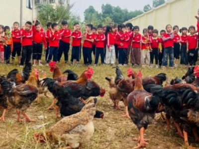 Phong trào “Trồng một cây – Nuôi một con” ở Trường Mầm non Thanh&nbsp;Vân